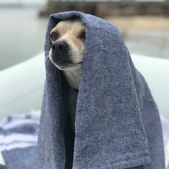 Meet your Posher, Morgan Starr - Picture 1 of 10